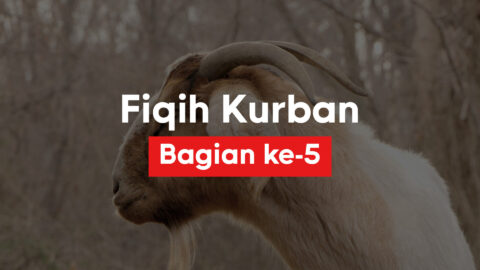 Fiqih kurban bag. v