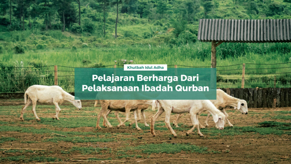 Pelajaran berharga (andalan)