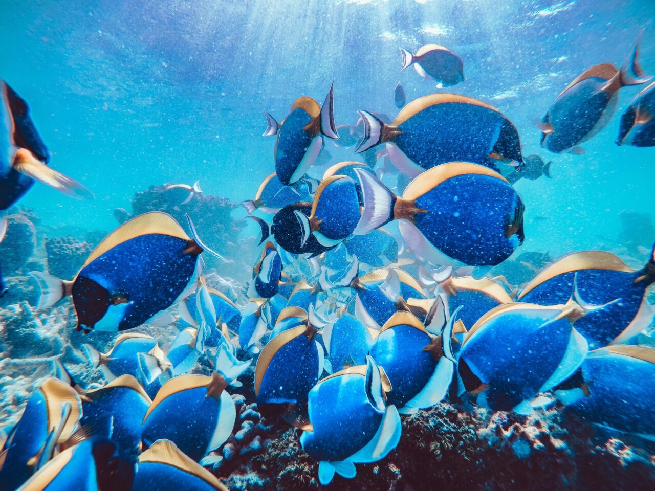 Yang wewe n6eblceUcnc unsplash